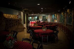 Rare Animal Conservation Center