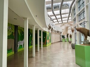 Rare Animal Conservation Center Atrium