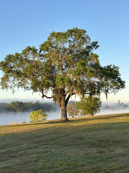 Riverside The Heart of the River