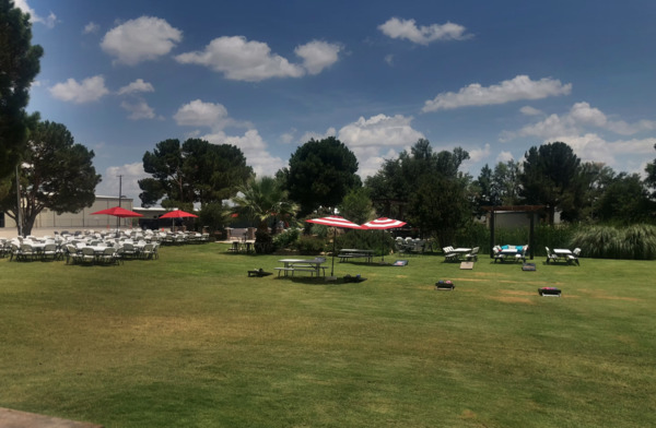 The Shack In the Back