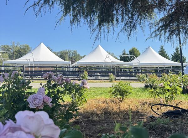 R.J.T. BLUEBERRY PARK INC.