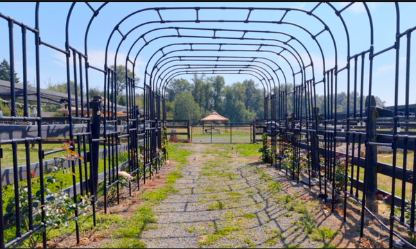 R.J.T. BLUEBERRY PARK INC.