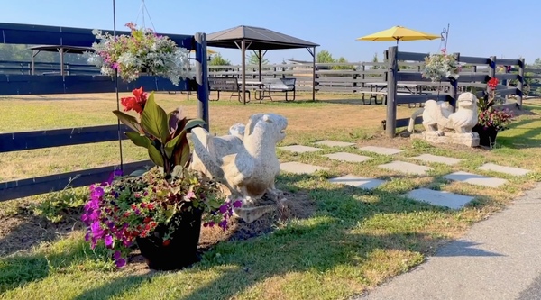 R.J.T. BLUEBERRY PARK INC.