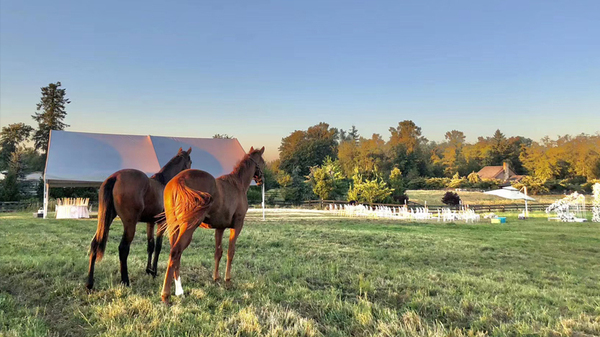 R.J.T. BLUEBERRY PARK INC.