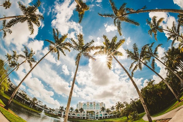 Florida International University