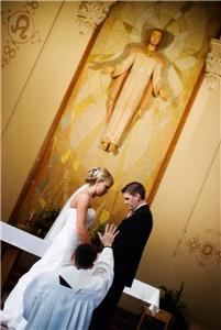 Garden Rose Photography