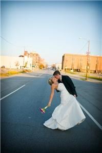 Garden Rose Photography