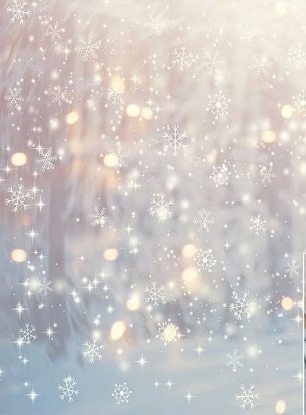 Timeless Reflections Co.