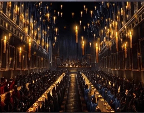 Timeless Reflections Co.