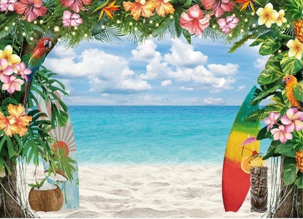 Timeless Reflections Co.