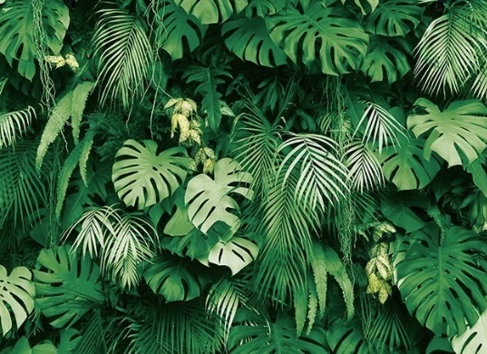 Timeless Reflections Co.