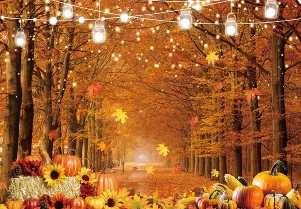 Timeless Reflections Co.