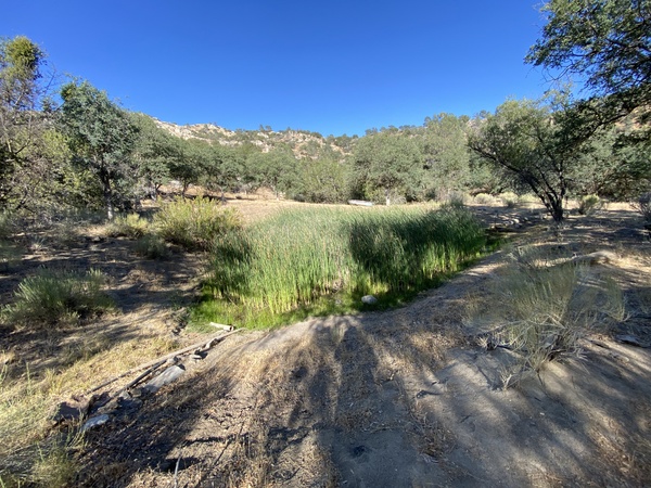 Golden Ranch Estates