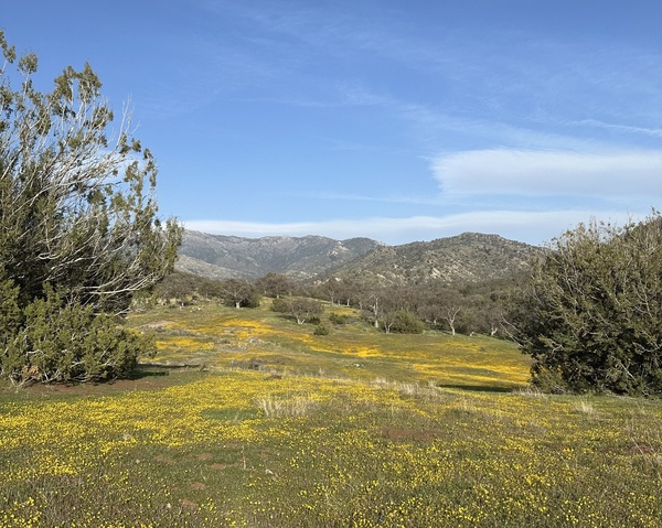 Golden Ranch Estates