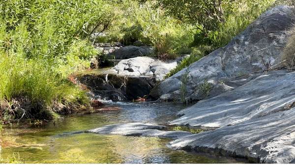 Golden Ranch Estates