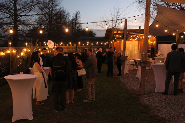 Pirogue's Whiskey Bayou