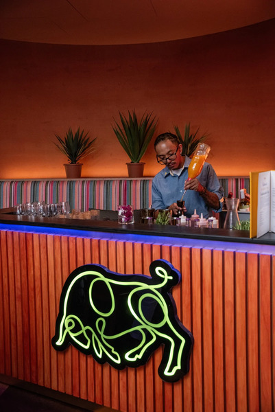 Toro by Chef Richard Sandoval - Chicago