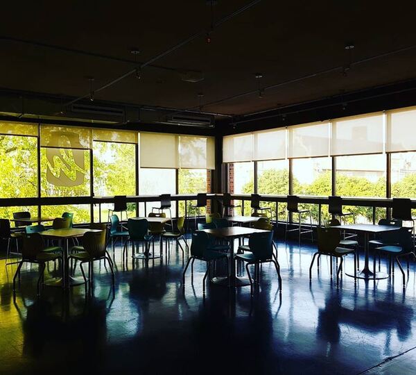 Hive Cafe Solidarity Cooperative (Loyola Location)