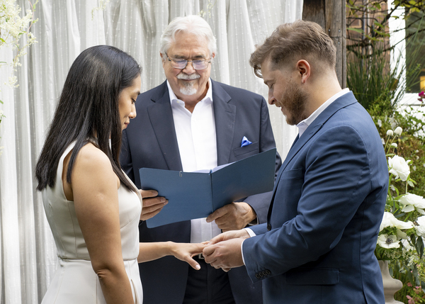 hummingbird celebrations