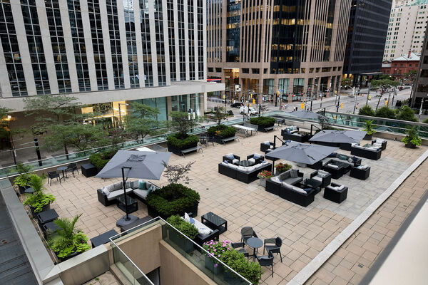 The King York Terrace & Lounge