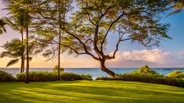 Andaz Maui at Wailea Resort, by Hyatt