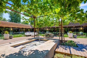 The Courtyard at Willow