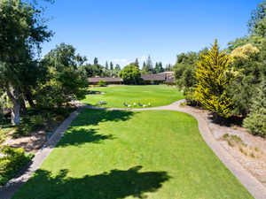 The Grand Lawn at Willow