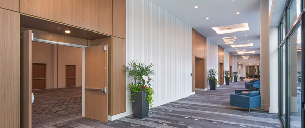 Embassy Suites by Hilton Asheville Downtown