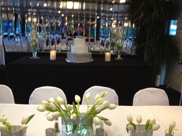 Musette I and II Yachts for Charter