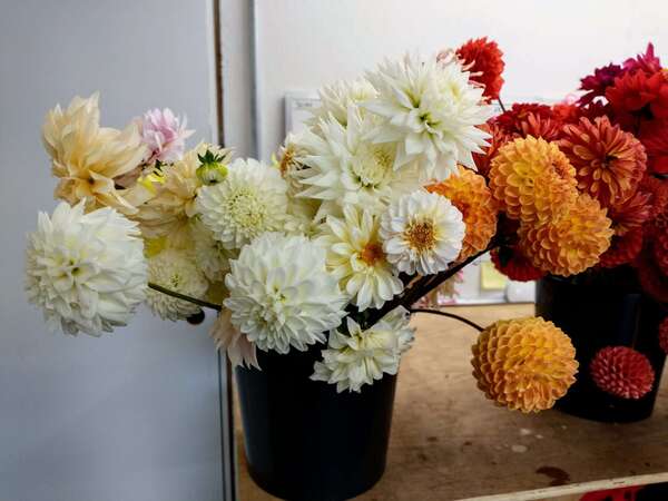 Michigan Flower Barn