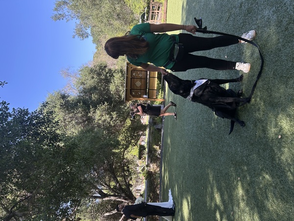 Stacy’s wags N wiggles