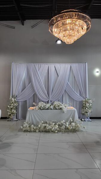 Vibes on Vibes Event