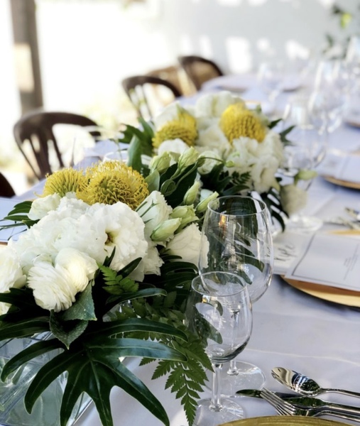 Wonderful Reveals on the Bay