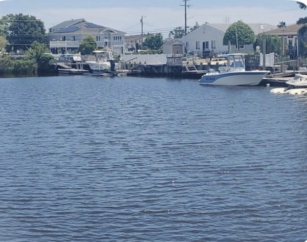 Wonderful Reveals on the Bay