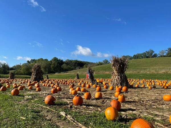 Neltner's Farm & Event Venue