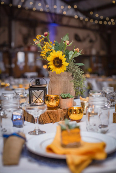 The Blazin' M Ranch: Barn Venue, Riverside Venue, Wild West Town: Large Groups, Weddings, & More!