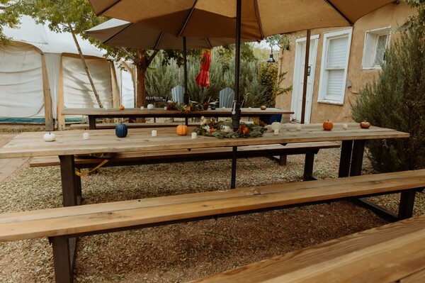 Painted Lady Bed & Brew