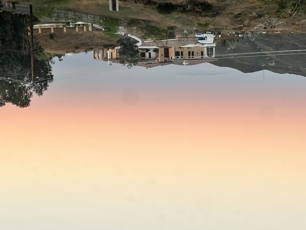 Malibu Crown Vineyard