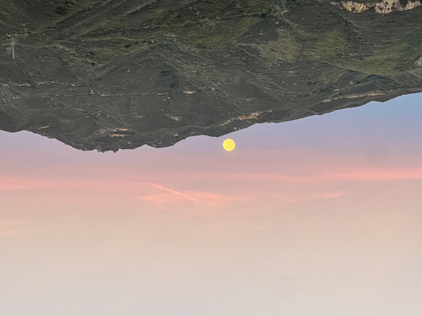 Malibu Crown Vineyard