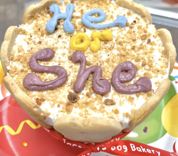 Jackboy's Dog Bakery