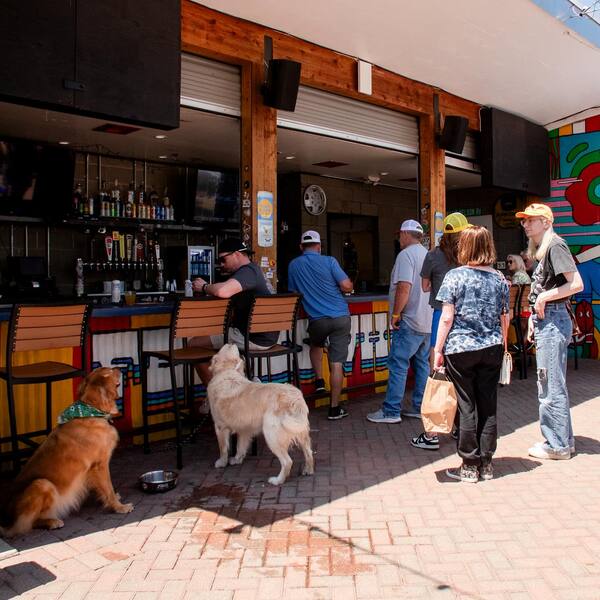 Ferris Wheelers Backyard BBQ