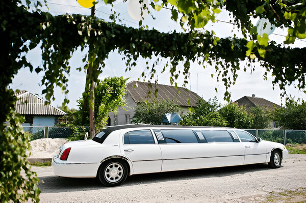 Sn Limo Service