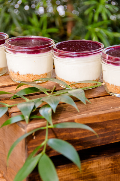 Have Party Will Travel