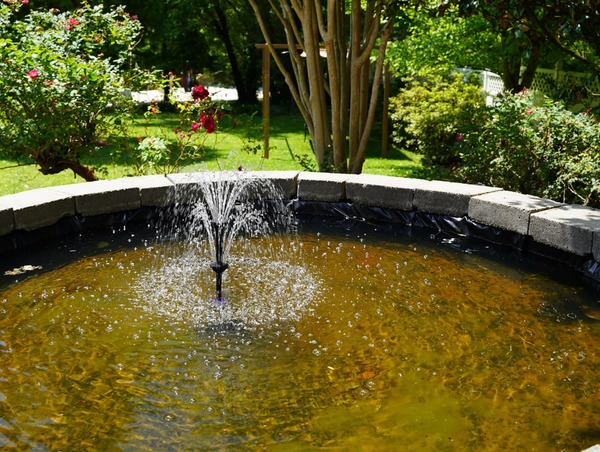 Biryani World On the Lake