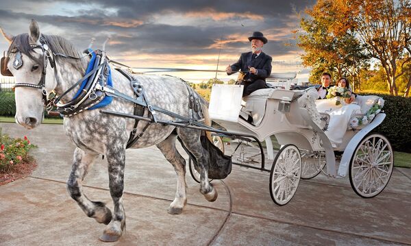 Southern Charm Carriages LLC