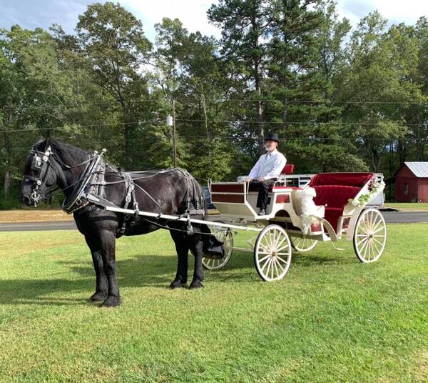 Southern Charm Carriages LLC