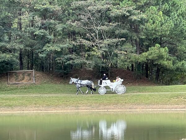 Southern Charm Carriages LLC