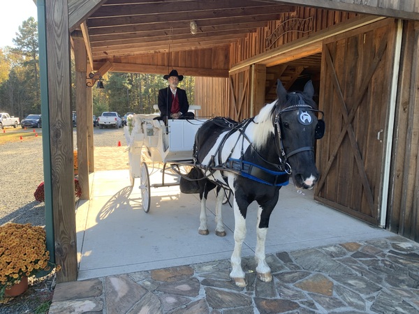 Southern Charm Carriages LLC