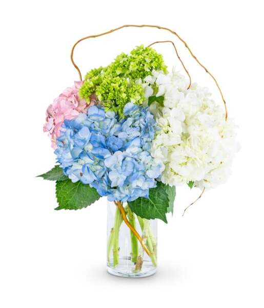 Irene's Floral Design - St. Louis Florist