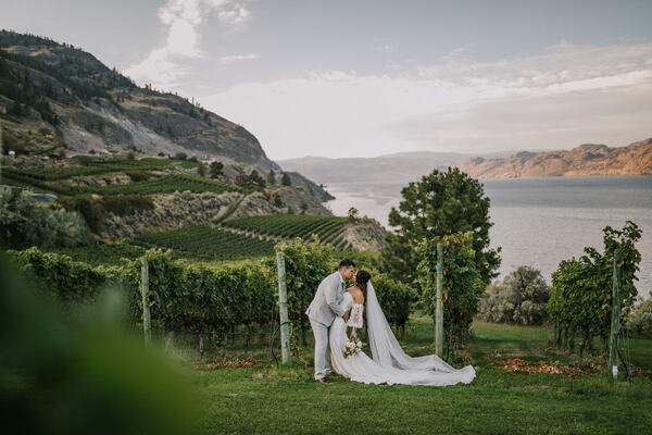 Vows & Vines Vineyard